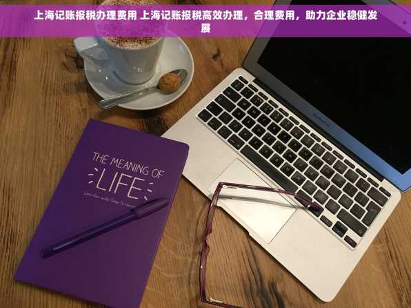 上海记账报税办理费用 上海记账报税高效办理，合理费用，助力企业稳健发展