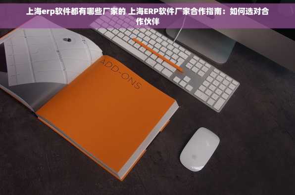 上海erp软件都有哪些厂家的 上海ERP软件厂家合作指南：如何选对合作伙伴