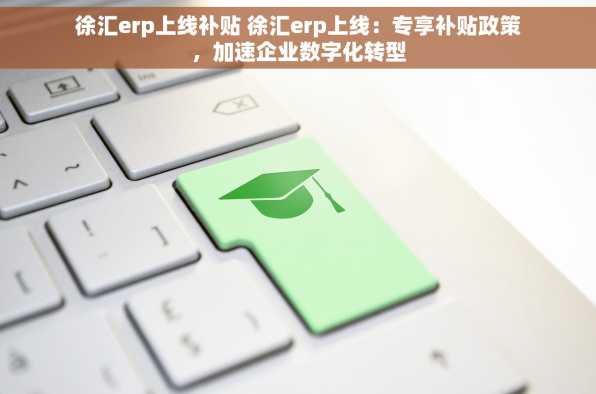 徐汇erp上线补贴 徐汇erp上线：专享补贴政策，加速企业数字化转型