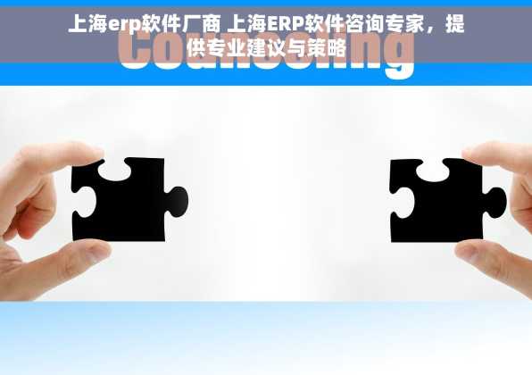 上海erp软件厂商 上海ERP软件咨询专家，提供专业建议与策略