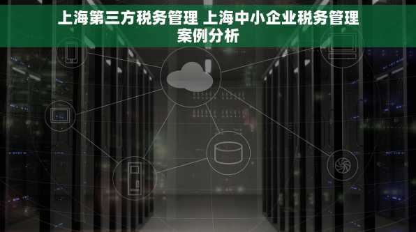 上海第三方税务管理 上海中小企业税务管理案例分析