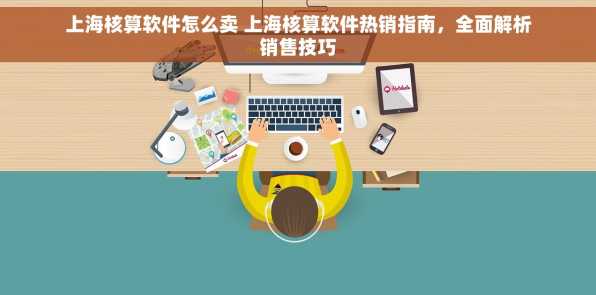 上海核算软件怎么卖 上海核算软件热销指南，全面解析销售技巧