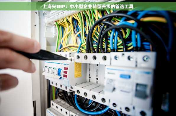 上海兴ERP：中小型企业转型升级的首选工具