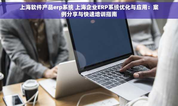 上海软件产品erp系统 上海企业ERP系统优化与应用：案例分享与快速培训指南