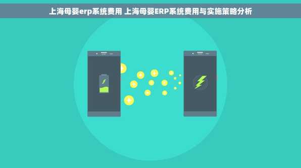 上海母婴erp系统费用 上海母婴ERP系统费用与实施策略分析