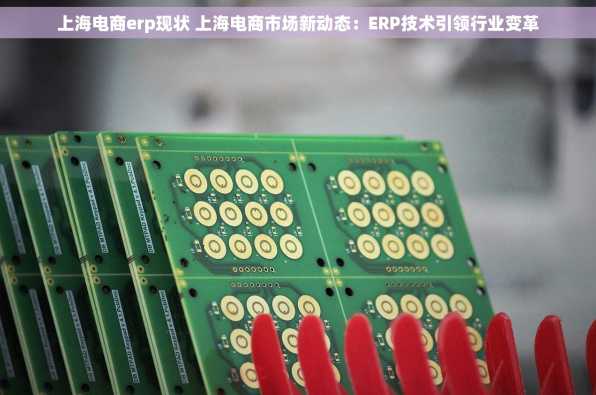上海电商erp现状 上海电商市场新动态：ERP技术引领行业变革