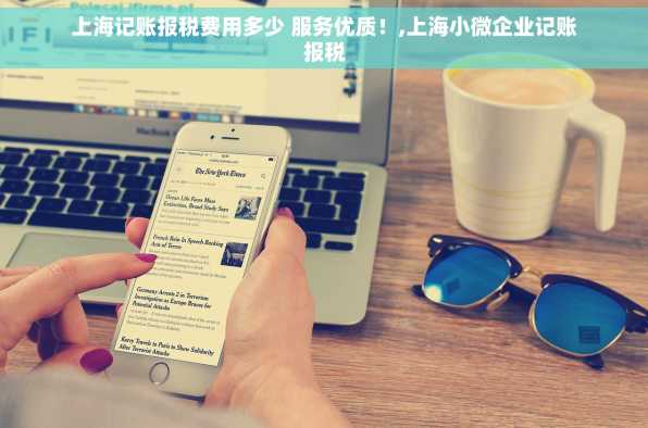 上海记账报税费用多少 服务优质！,上海小微企业记账报税