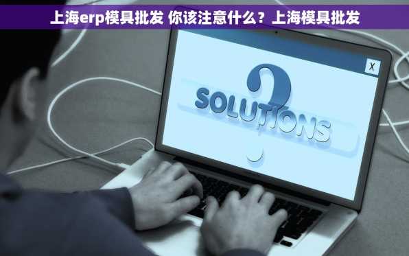 上海erp模具批发 你该注意什么？上海模具批发