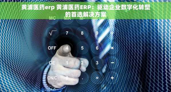 黄浦医药erp 黄浦医药ERP：驱动企业数字化转型的首选解决方案
