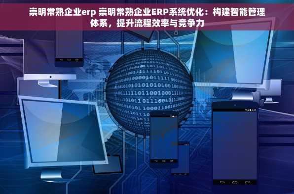 崇明常熟企业erp 崇明常熟企业ERP系统优化：构建智能管理体系，提升流程效率与竞争力