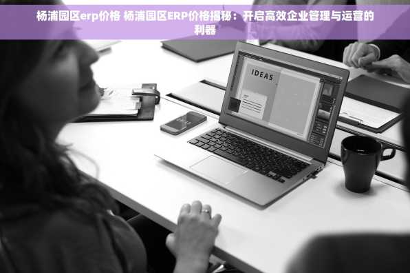杨浦园区erp价格 杨浦园区ERP价格揭秘：开启高效企业管理与运营的利器