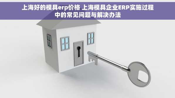 上海好的模具erp价格 上海模具企业ERP实施过程中的常见问题与解决办法