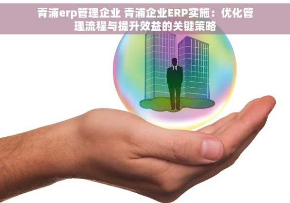 青浦erp管理企业 青浦企业ERP实施：优化管理流程与提升效益的关键策略