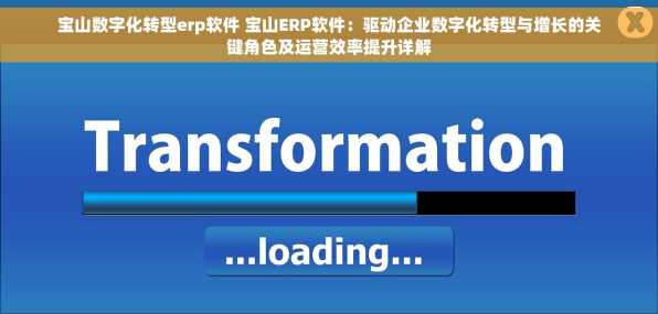 宝山数字化转型erp软件 宝山ERP软件：驱动企业数字化转型与增长的关键角色及运营效率提升详解