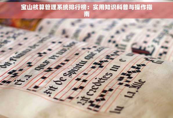 宝山核算管理系统排行榜：实用知识科普与操作指南