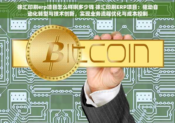 徐汇印刷erp项目怎么样啊多少钱 徐汇印刷ERP项目：驱动自动化转型与技术创新，实现业务流程优化与成本控制