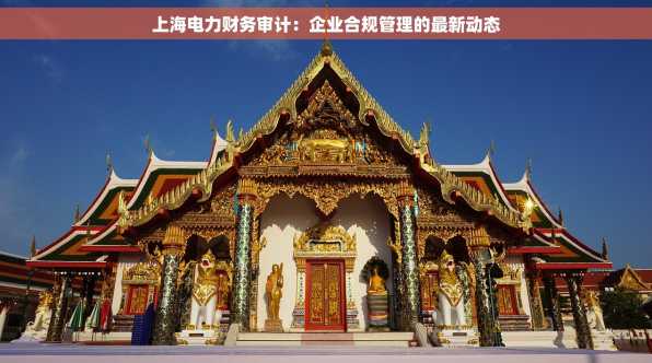 上海电力财务审计：企业合规管理的最新动态