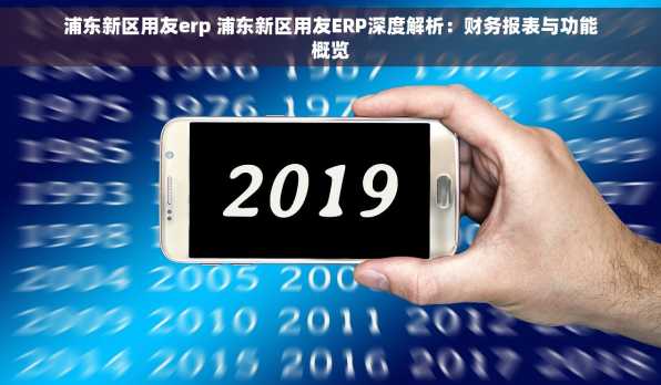 浦东新区用友erp 浦东新区用友ERP深度解析：财务报表与功能概览
