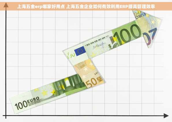 上海五金erp哪家好用点 上海五金企业如何有效利用ERP提高管理效率