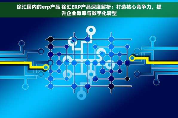 徐汇国内的erp产品 徐汇ERP产品深度解析：打造核心竞争力，提升企业效率与数字化转型