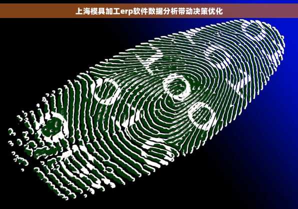 上海模具加工erp软件数据分析带动决策优化
