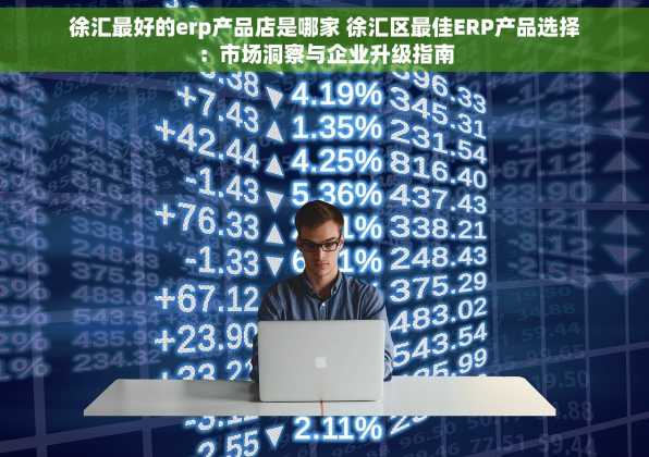 徐汇最好的erp产品店是哪家 徐汇区最佳ERP产品选择：市场洞察与企业升级指南