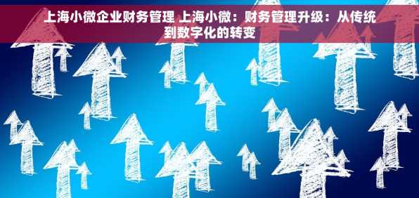上海小微企业财务管理 上海小微：财务管理升级：从传统到数字化的转变