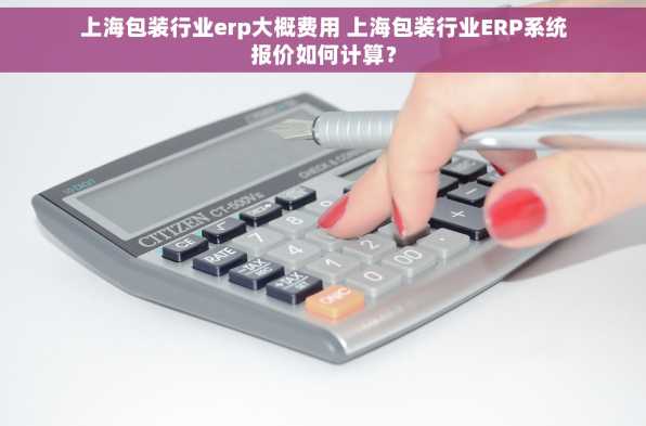 上海包装行业erp大概费用 上海包装行业ERP系统报价如何计算？