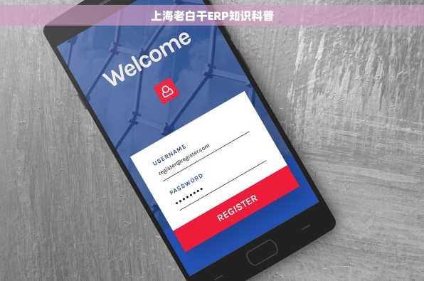 上海老白干ERP知识科普