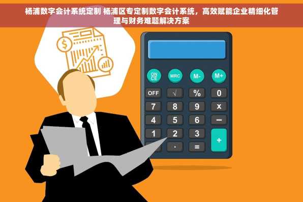 杨浦数字会计系统定制 杨浦区专定制数字会计系统，高效赋能企业精细化管理与财务难题解决方案