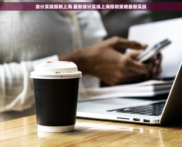 会计实操报税上海 最新会计实操上海报税策略最新实战