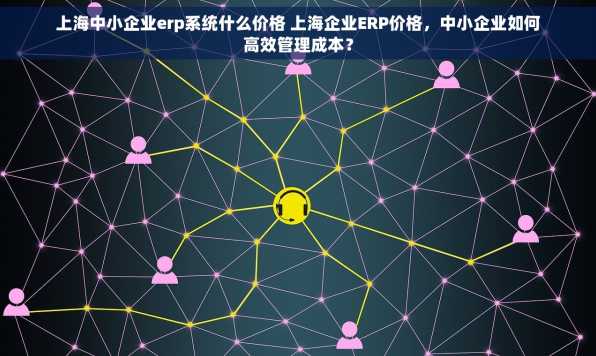 上海中小企业erp系统什么价格 上海企业ERP价格，中小企业如何高效管理成本？