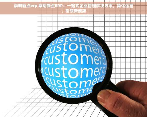 崇明新点erp 崇明新点ERP：一站式企业管理解决方案，简化运营，引领新姿势