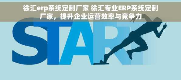 徐汇erp系统定制厂家 徐汇专业ERP系统定制厂家，提升企业运营效率与竞争力