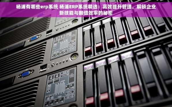 杨浦有哪些erp系统 杨浦ERP系统精选：高效提升管理，解锁企业新技能与翻倍效率的秘密