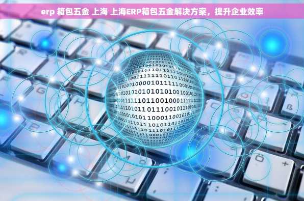 erp 箱包五金 上海 上海ERP箱包五金解决方案，提升企业效率