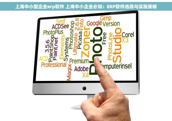 上海中小型企业erp软件 上海中小企业必知：ERP软件选择与实施策略