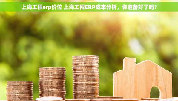 上海工程erp价位 上海工程ERP成本分析，你准备好了吗？