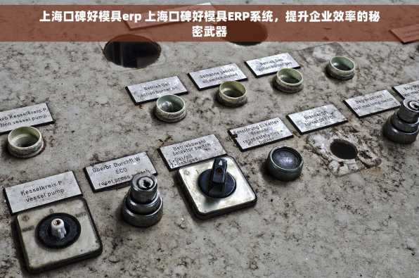 上海口碑好模具erp 上海口碑好模具ERP系统，提升企业效率的秘密武器