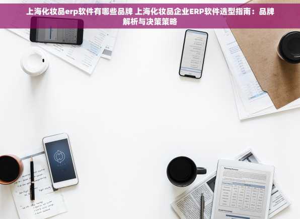 上海化妆品erp软件有哪些品牌 上海化妆品企业ERP软件选型指南：品牌解析与决策策略