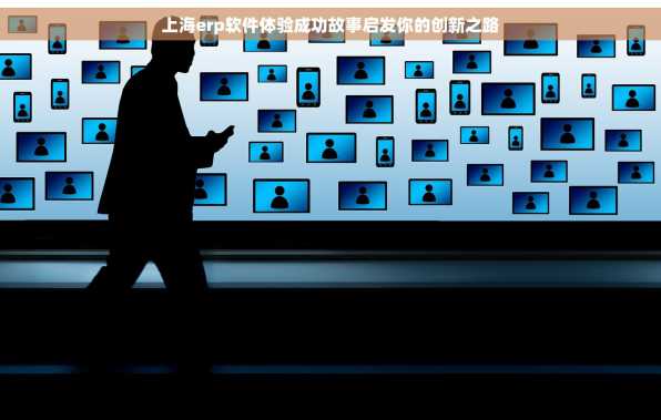 上海erp软件体验成功故事启发你的创新之路