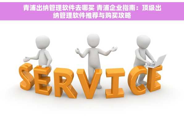 青浦出纳管理软件去哪买 青浦企业指南：顶级出纳管理软件推荐与购买攻略
