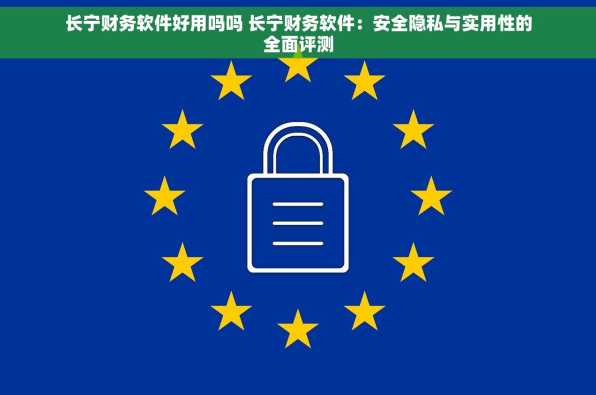 长宁财务软件好用吗吗 长宁财务软件：安全隐私与实用性的全面评测