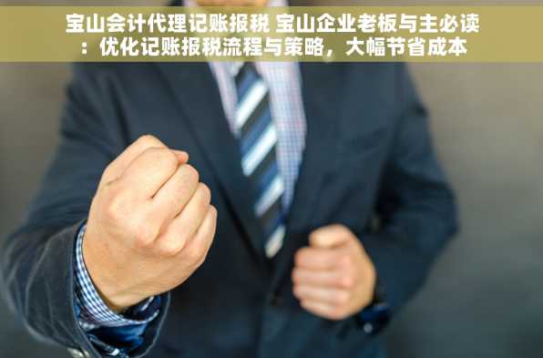 宝山会计代理记账报税 宝山企业老板与主必读：优化记账报税流程与策略，大幅节省成本