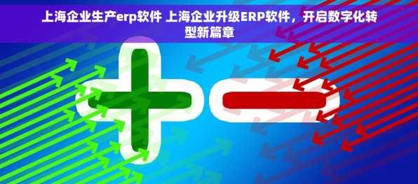 上海企业生产erp软件 上海企业升级ERP软件，开启数字化转型新篇章