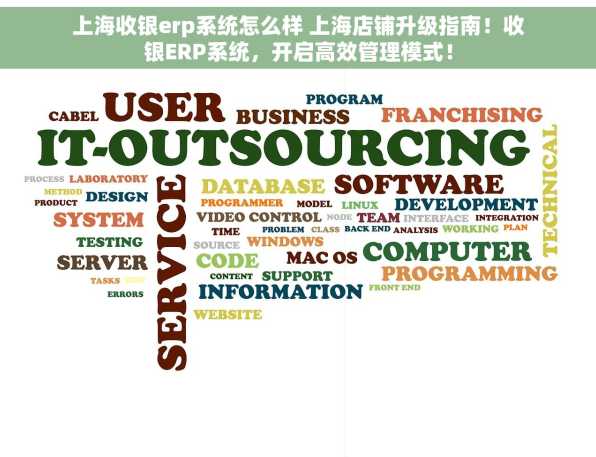 上海收银erp系统怎么样 上海店铺升级指南！收银ERP系统，开启高效管理模式！