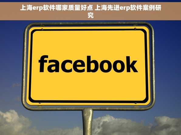 上海erp软件哪家质量好点 上海先进erp软件案例研究