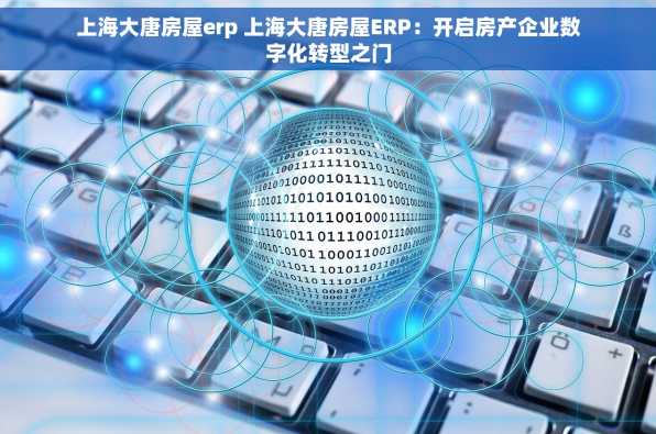 上海大唐房屋erp 上海大唐房屋ERP：开启房产企业数字化转型之门