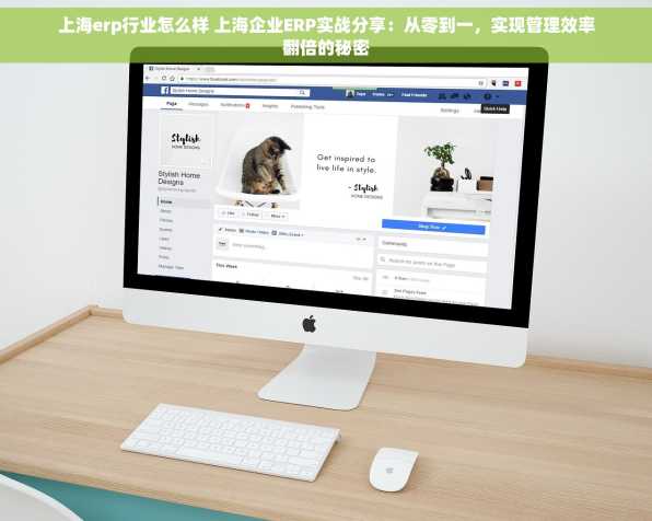 上海erp行业怎么样 上海企业ERP实战分享：从零到一，实现管理效率翻倍的秘密