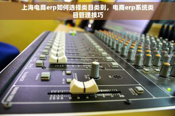 上海电商erp如何选择类目类别，电商erp系统类目管理技巧